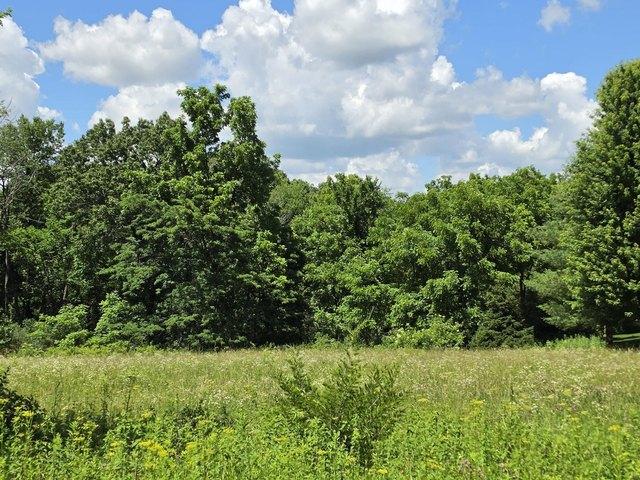 Land for sale in Galena, Illinois
