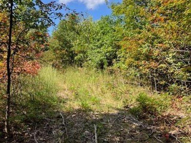 Land for sale in Annapolis, Missouri