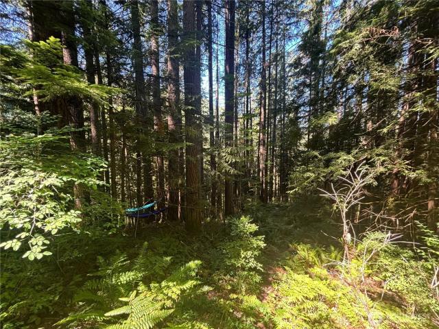 Land for sale in Bellingham Land for sale in Bellingham