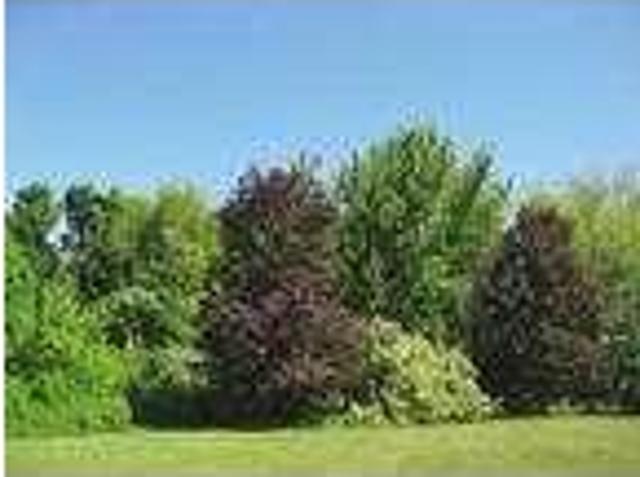 House for rent in New Hampshire