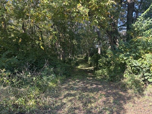 Land for sale in Sadorus, Champaign County