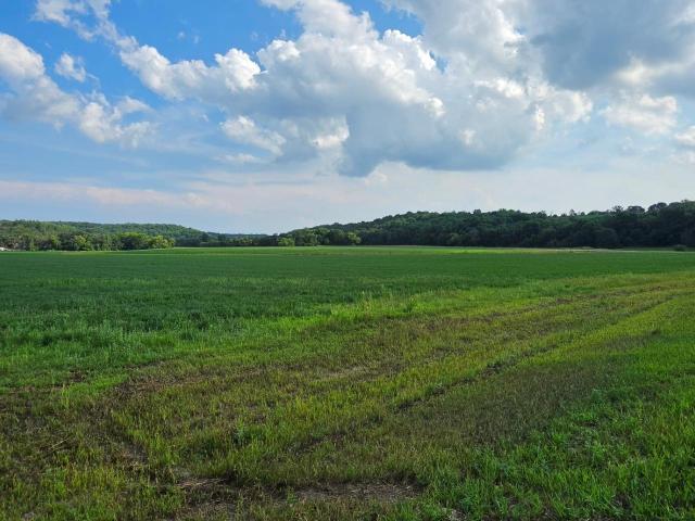 Land for sale in Minnesota