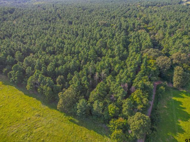 Property for sale in Frankston, Texas
