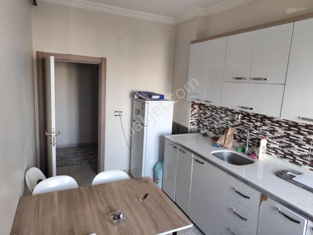 Siirt Merkez, Siirt içerisinde kiralık mülk