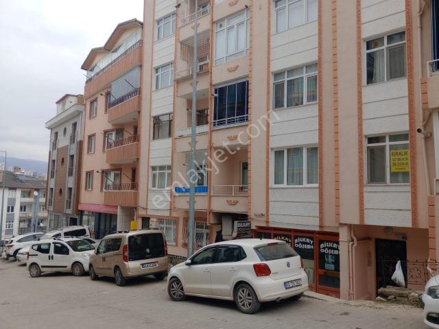 Tokat Merkez, Tokat içerisinde kiralık mülk