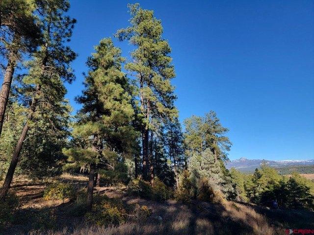 Land for sale in Pagosa Springs, Colorado
