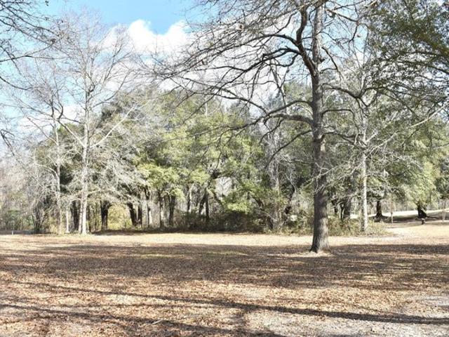 Land for sale in Manning, Clarendon County