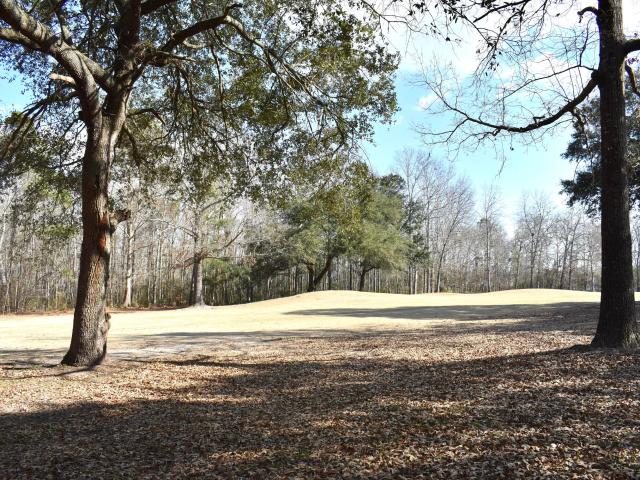 Land for sale in Manning, South Carolina