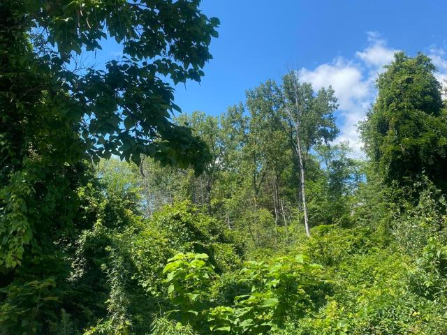 Land for sale in Sleepy Hollow Lake, Town of Coxsackie