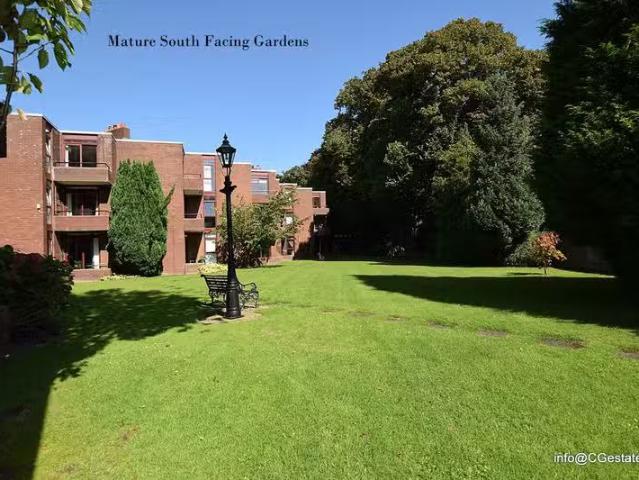 Apartment to rent