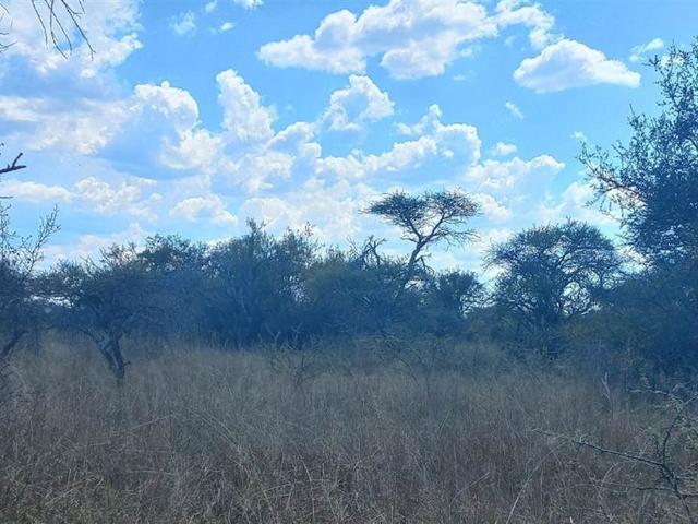 Farm for sale in Naboomspruit, Limpopo