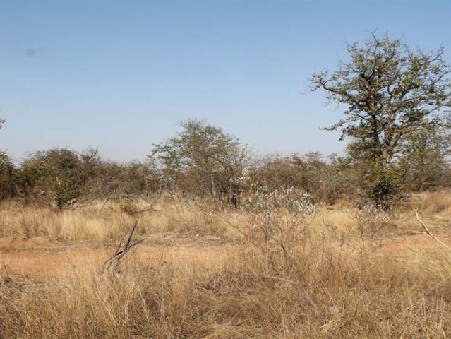 Land for sale in Mopani, Limpopo