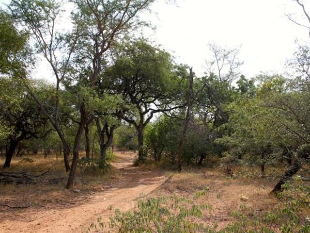 Land for sale in Mopani, Limpopo
