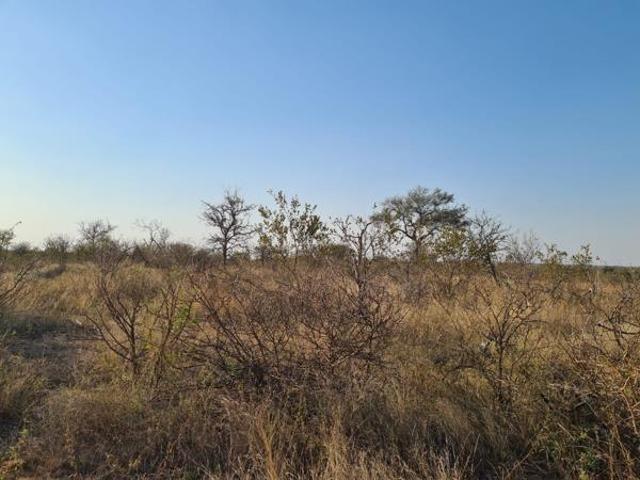 Land for sale in Phalaborwa, Ba-Phalaborwa Local Municipality