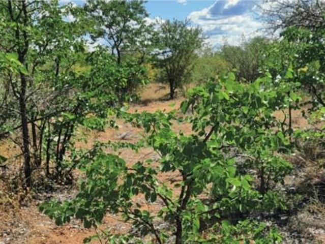 Land for sale in Mopani, Limpopo