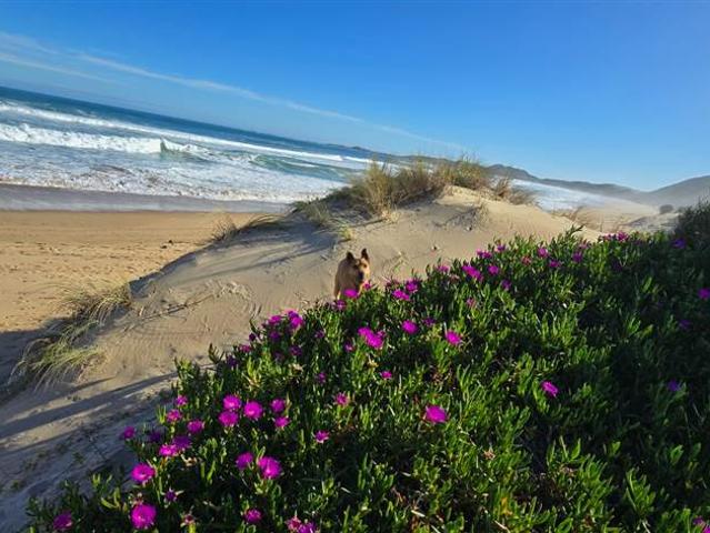 Farm for sale in Groot Brak Rivier, Western Cape