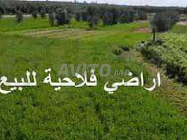 Propriété vente à Slimane, Gharb-Chrarda-Beni Hssen