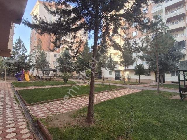 Batman Merkez, Batman içerisinde kiralık mülk