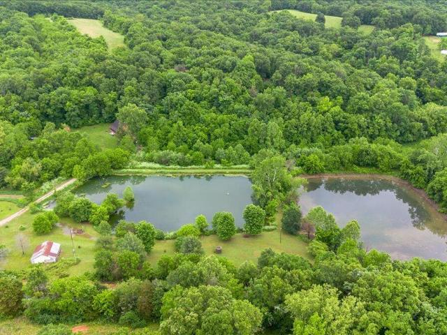 Land for sale in Pineville, McDonald County