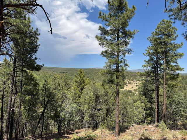 Land for sale in Pecos, New Mexico