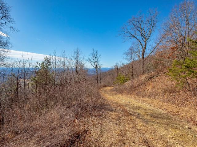 Land for sale in Virginia