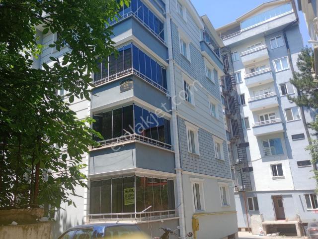 Tokat Merkez, Tokat içerisinde kiralık mülk