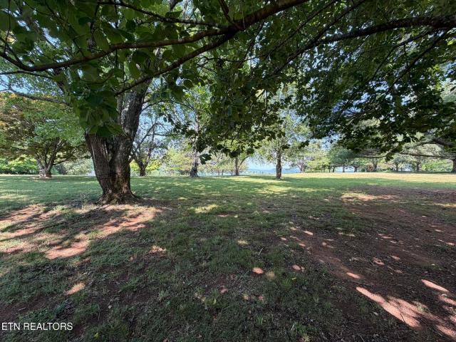 Land for sale in Tennessee
