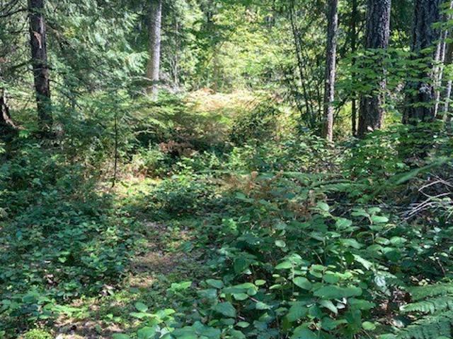 Land for sale in Hoodsport, Washington