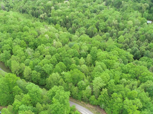 Land for sale in London