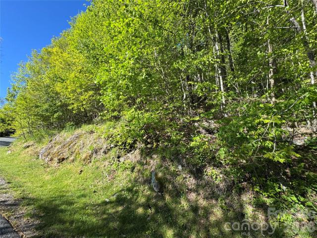 Land for sale in Yancey, North Carolina