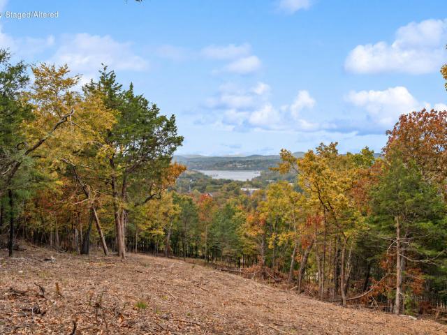 Land for sale in Kimberling City, Stone County