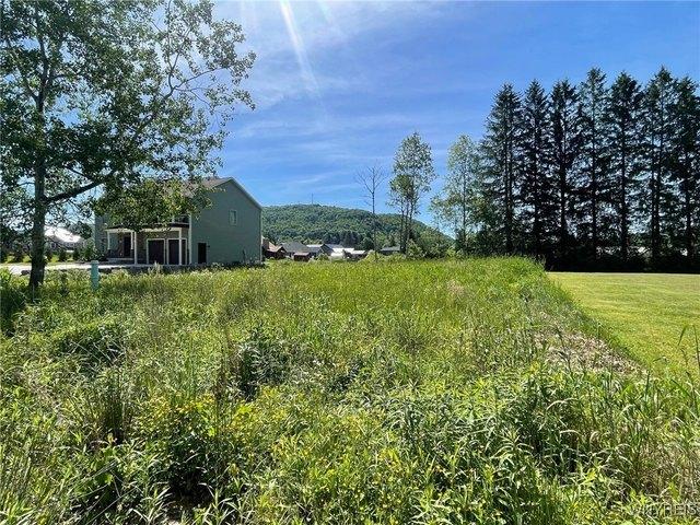 Land for sale in Ellicottville, New York