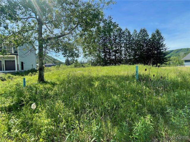 Land for sale in Ellicottville, New York