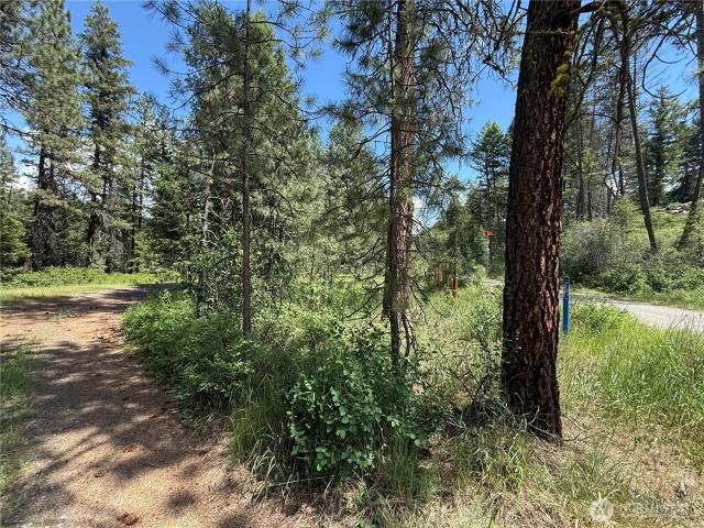 Land for sale in Republic, Washington