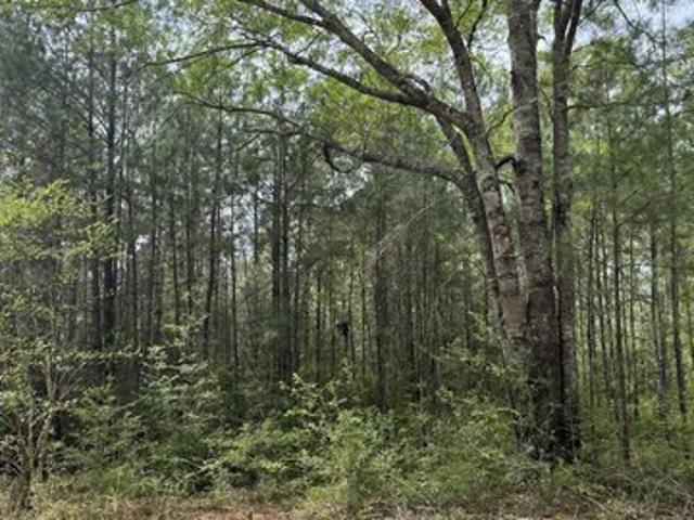 Land for sale in Perkinston, Mississippi