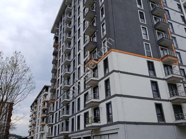 Düzce Merkez, Düzce içerisinde satılık mülk