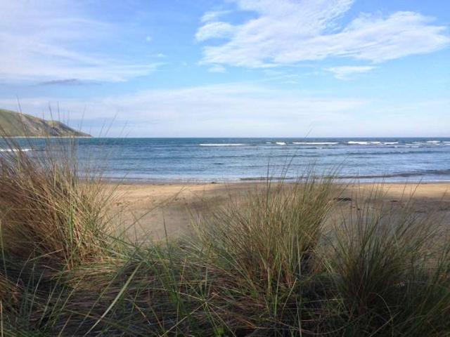 Property for sale in Aramoana