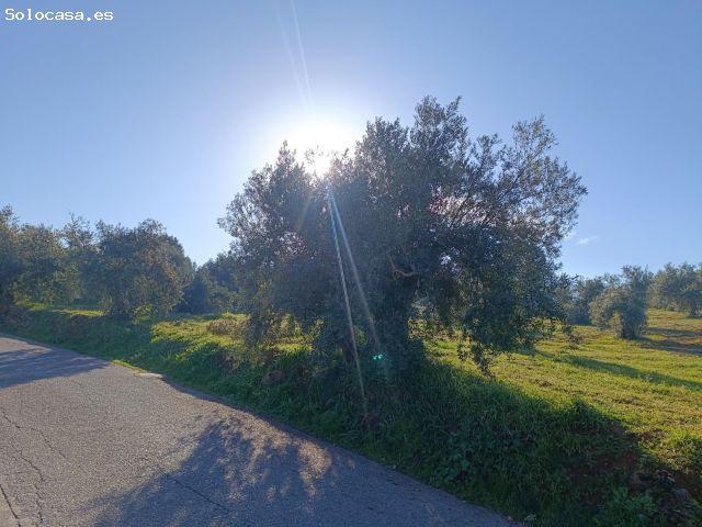 Local Comercial en venta en San Miguel, Comarca de la Vega de Granada