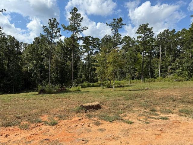 Land for sale in Boyce, Louisiana