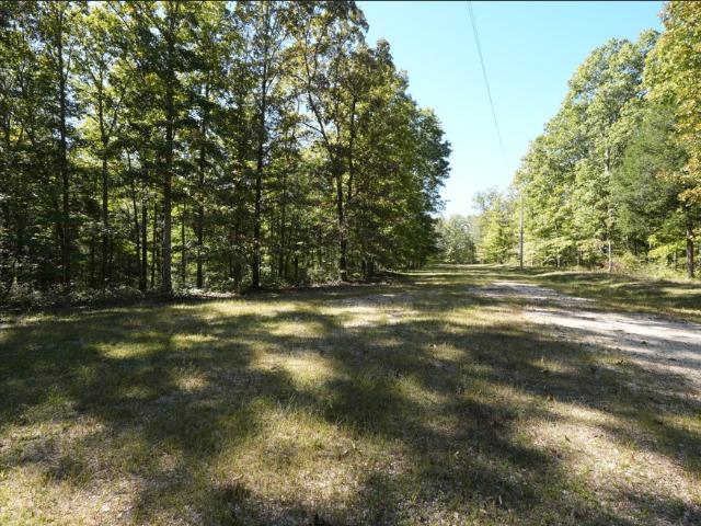 Land for sale in Tennessee
