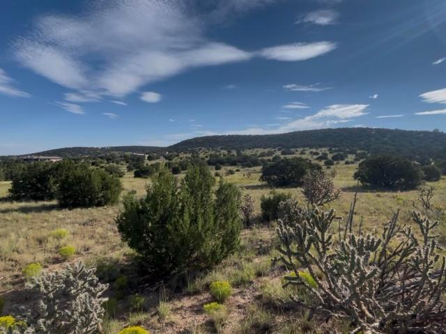 Land for sale in New Mexico