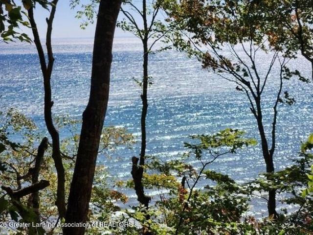 Land for sale in Moran, Michigan