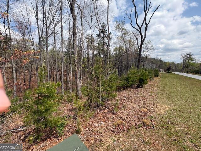 Land for sale in Georgia