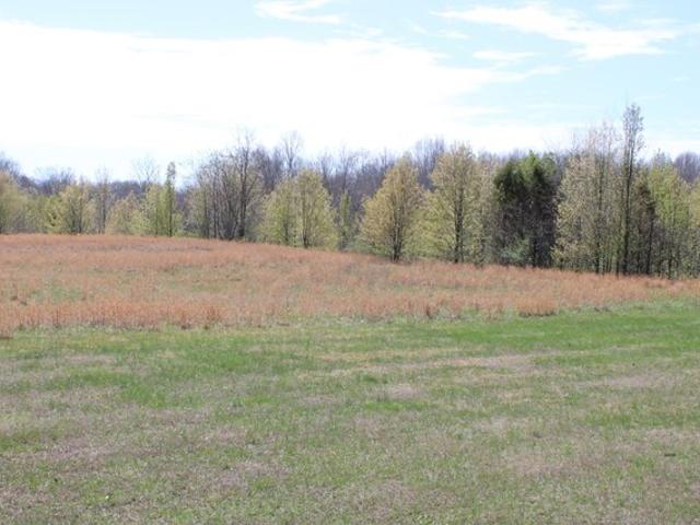 Land for sale in Kuttawa, Kentucky