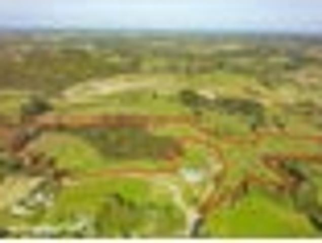Land for sale in Kawau Island