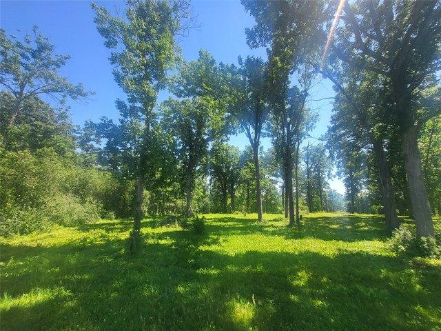Land for sale in Rice Lake, Wisconsin