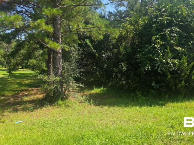Land for sale in Robertsdale, Alabama