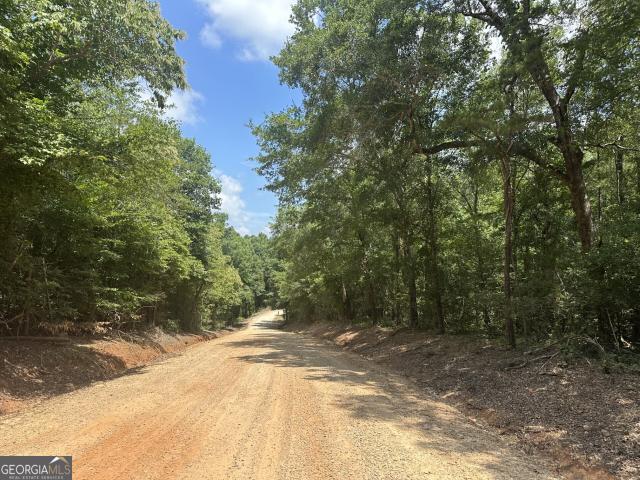 Land for sale in Comer, Georgia
