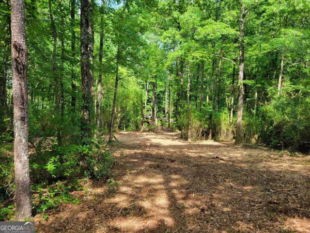 Land for sale in Upson, Georgia