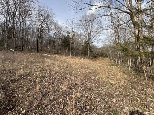 Land for sale in Tennessee
